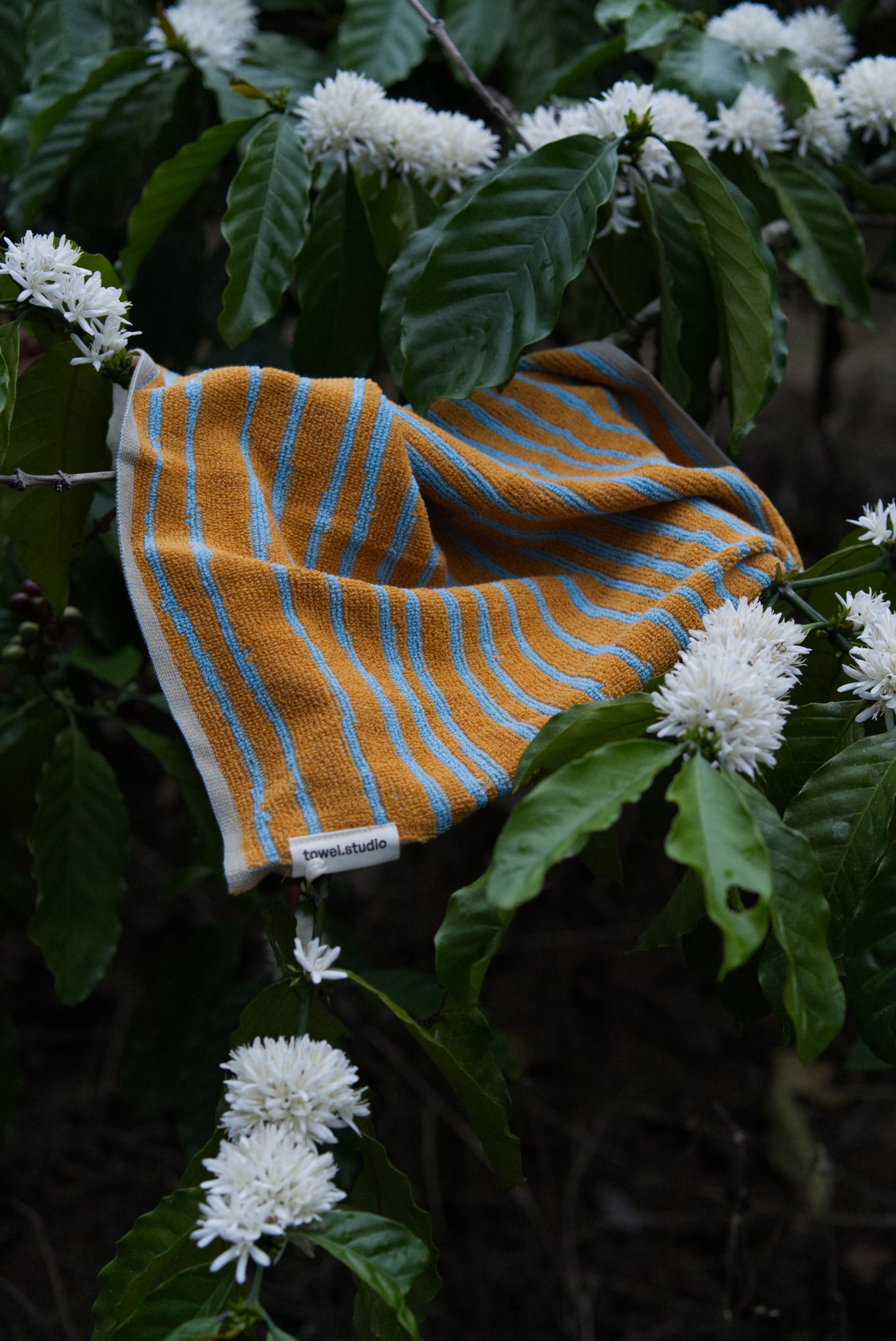 Stripe Guest Towel | Caramel & Sky